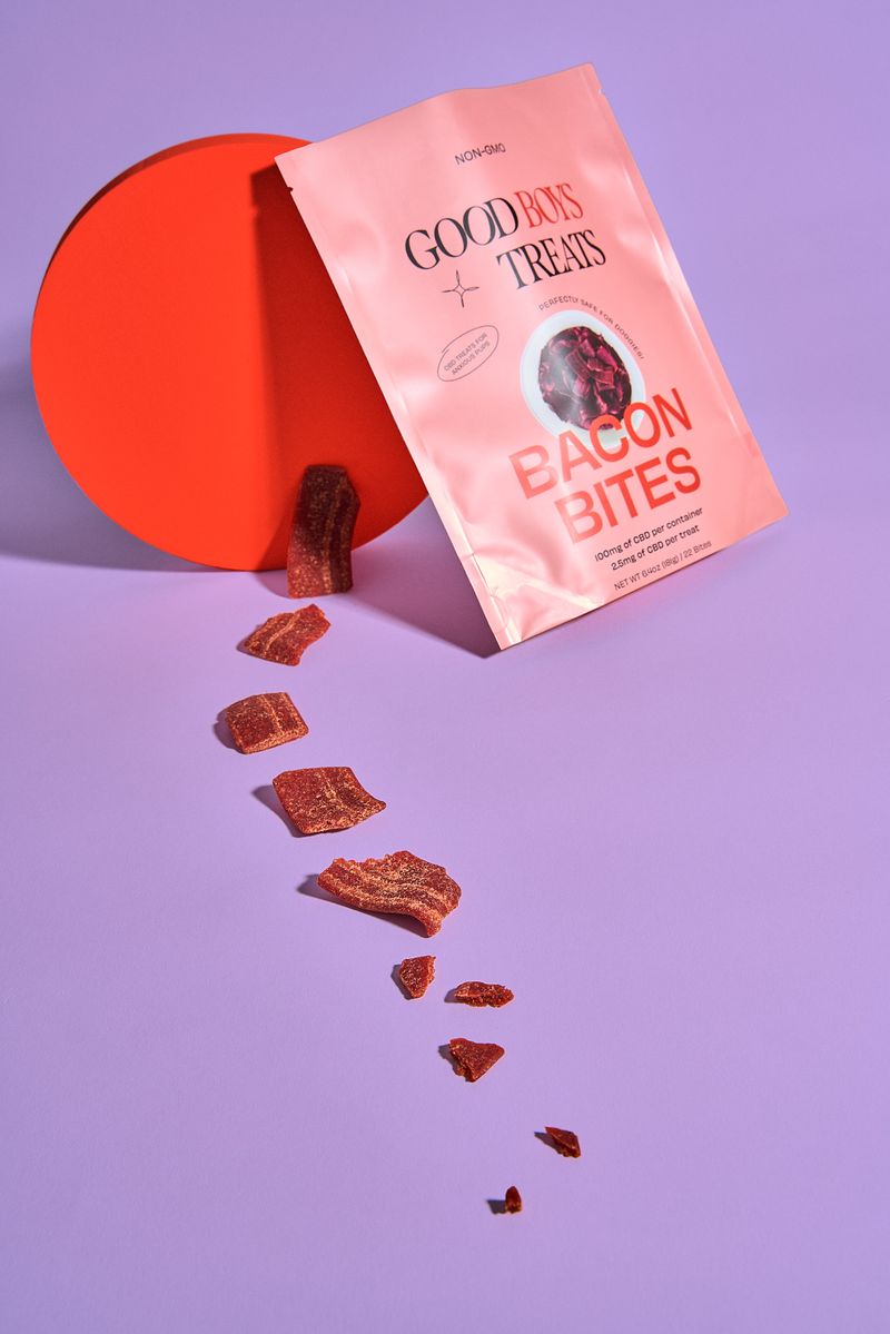 good-boys-treats-cute-fun-colorful-brand-design-packaging-shopify